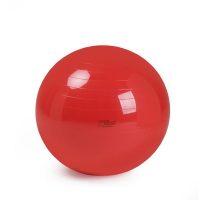 41049-BALLON GYMNIC 85 cm ROUGE