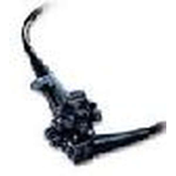 51899-VIDEO GASTROSCOPE FUJINON EG 250 WR5 RENOVE