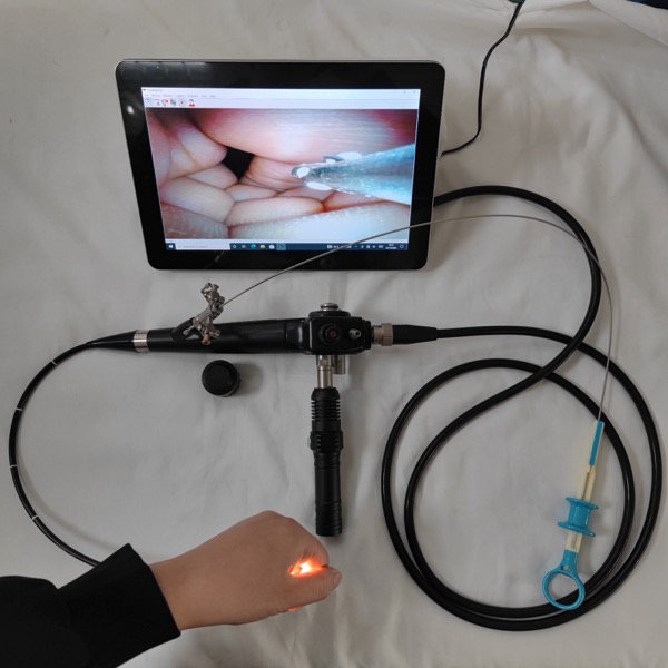 64755-VIDEO CYSTOSCOPE AUTONOME 5mm